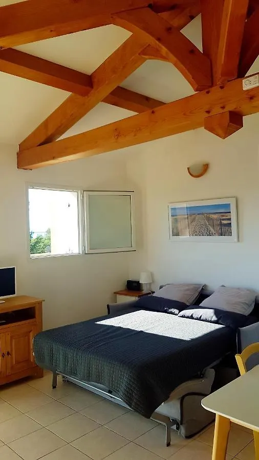 studio 25M2 avec 1 canapé convertible grand confort pour 2 personnes presqu'île des Giens Hyères Appartement
